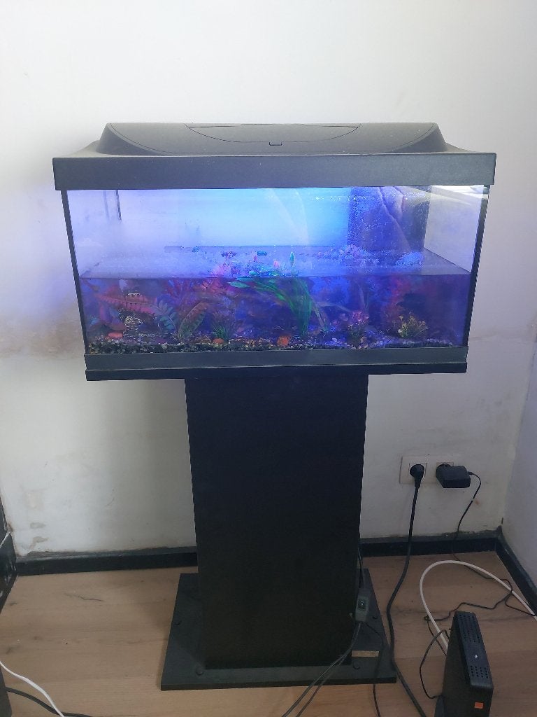 Aquarium sur pied 54 litres, Animaux & Accessoires, Poissons | Aquariums & Accessoires, Neuf, Chauffage, Enlèvement, Autres types