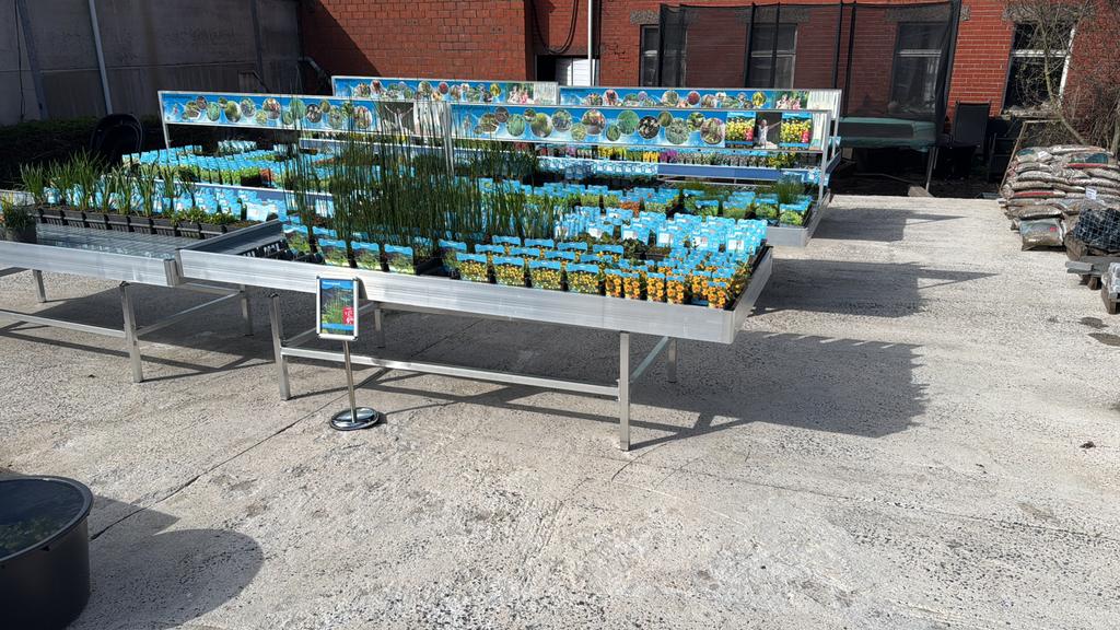 Vijverplanten, Tuin en Terras, Ophalen, Zo goed als nieuw