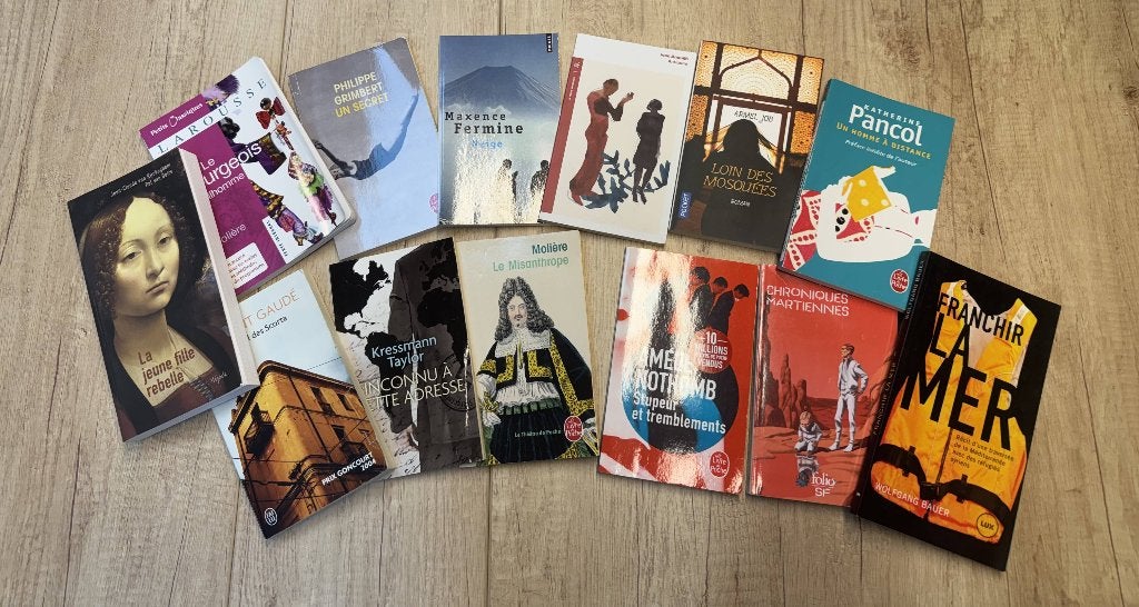Lot de livres d’occasion, Enlèvement ou Envoi, Utilisé, Secondaire
