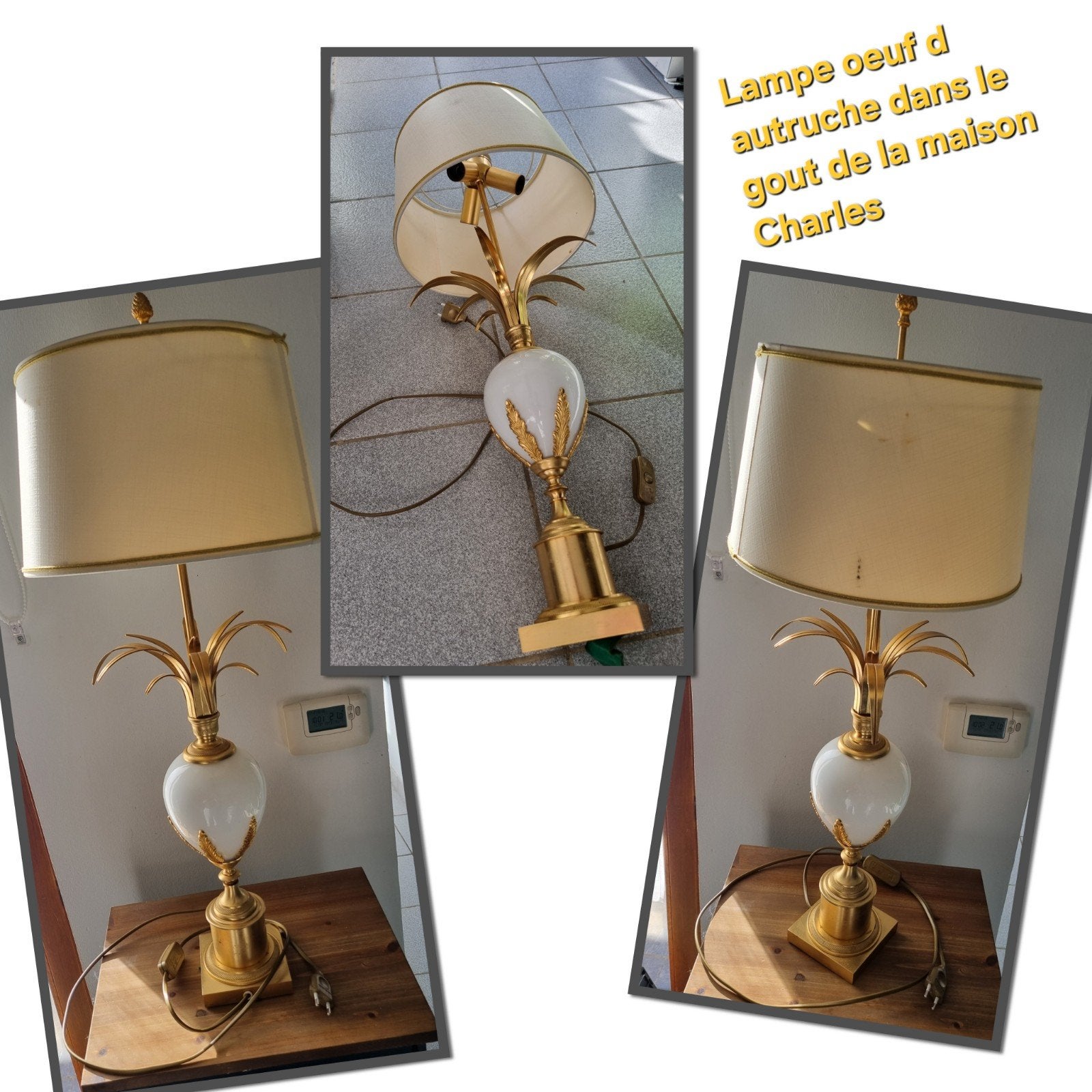 Lampe oeuf d autruche, Enlèvement