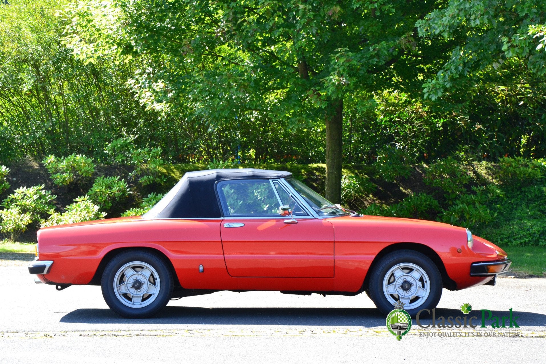 Alfa Romeo Spider 2.0 Veloce (bj 1981), foto 10