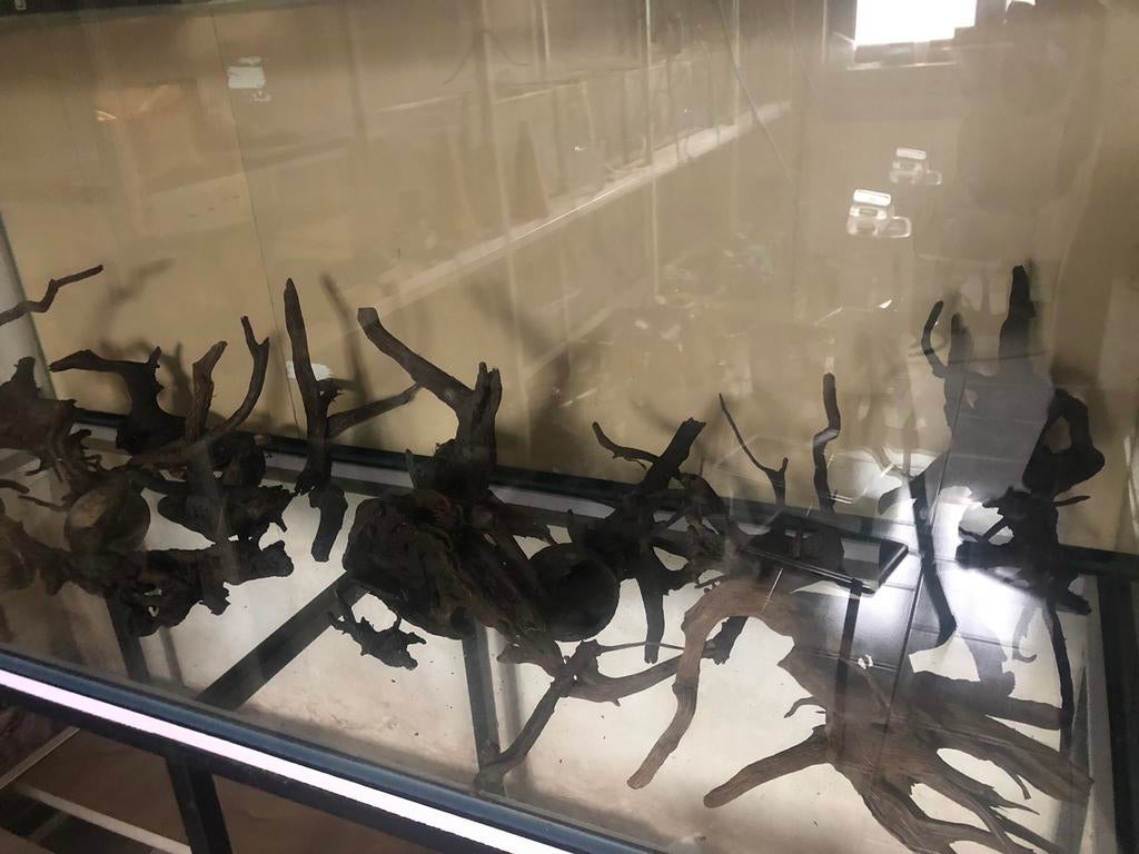 Bois pour aquarium, Animaux & Accessoires, Enlèvement, Utilisé