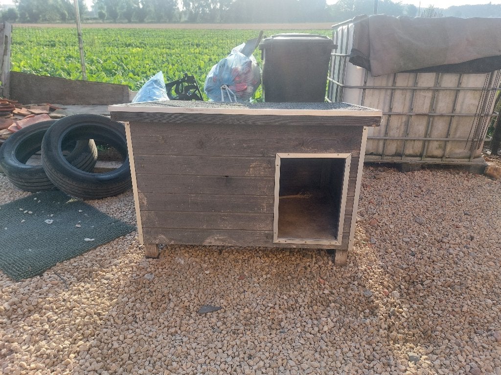 Hondenhok, Dieren en Toebehoren, Hondenhokken, Ophalen, Gebruikt, 65 tot 100 cm, Hondenhok