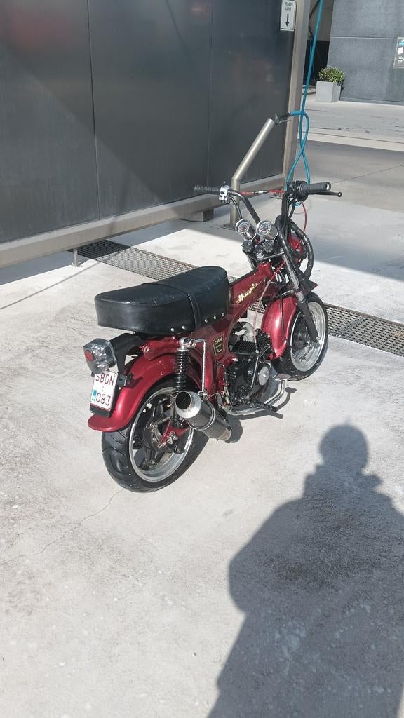 Dax 50cc bklasse tekoop of ruil, Fietsen en Brommers, Brommers | Honda, Nieuw, Overige modellen, Klasse B (45 km/u), Ophalen