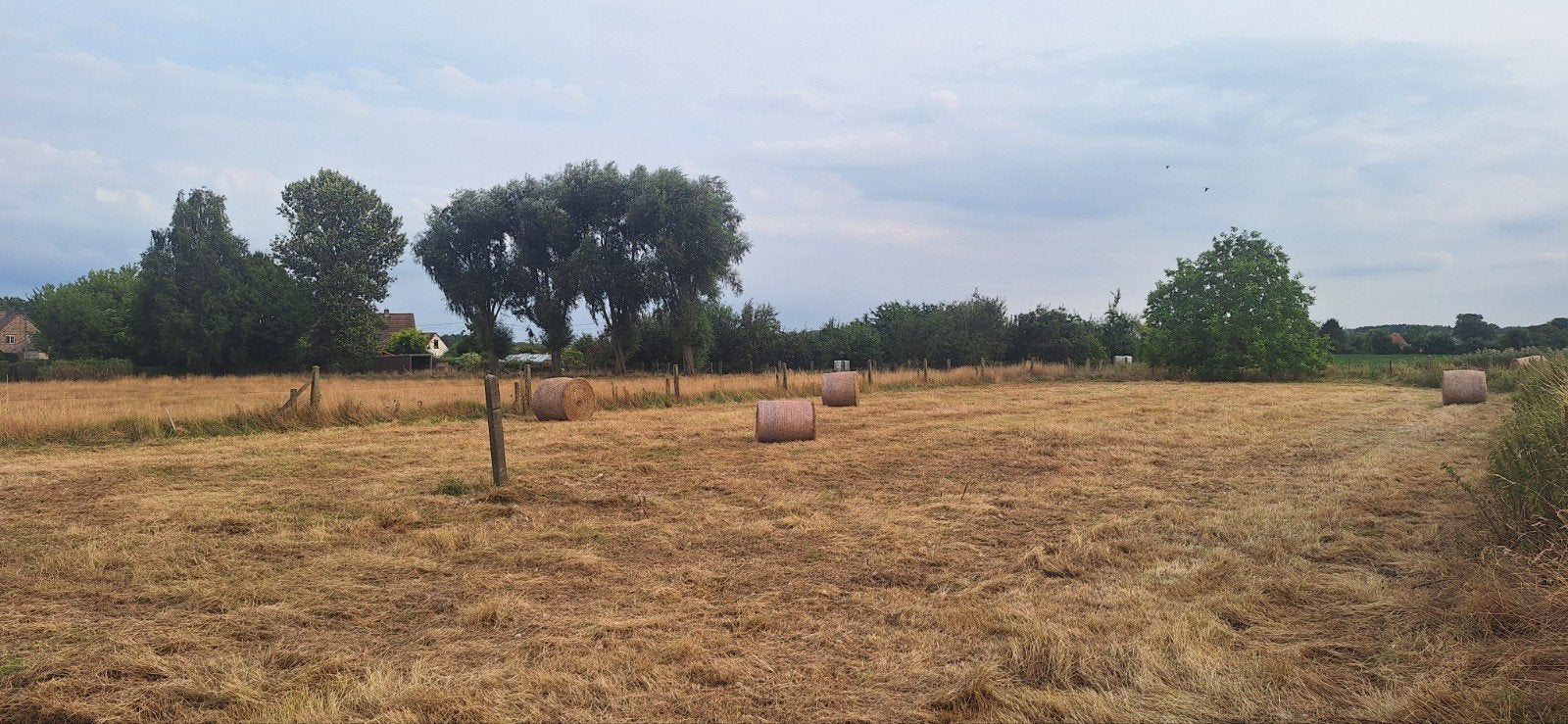 boules de foin, Articles professionnels, Enlèvement