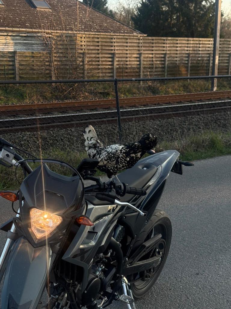 Beta rr50 ruilen mogelijk, Fietsen en Brommers, Ophalen, Zo goed als nieuw