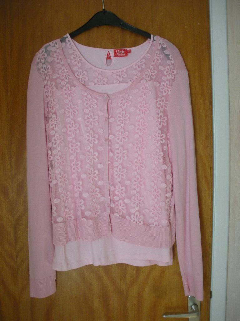 Ensemble gilet & blouse rose de LIBELLE., Vêtements | Femmes, Taille 46/48 (XL) ou plus grande, Rose, Comme neuf, Enlèvement