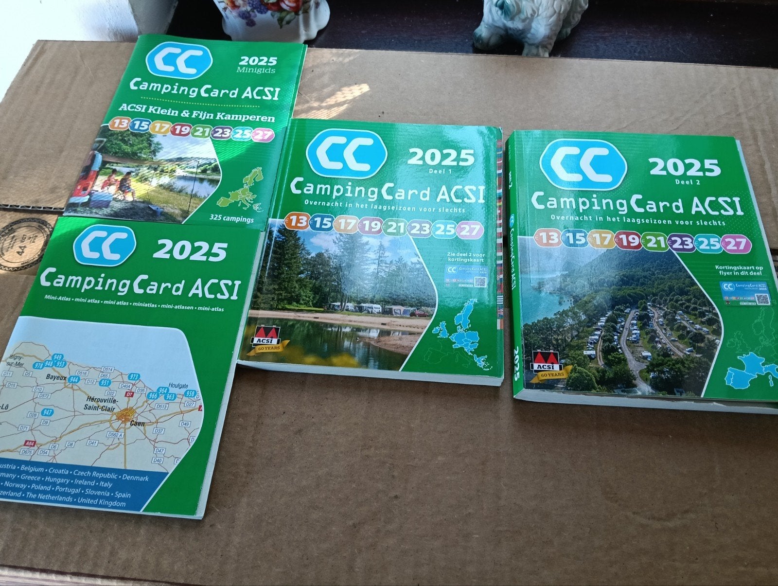 acsi camping gids, Boeken, Ophalen of Verzenden
