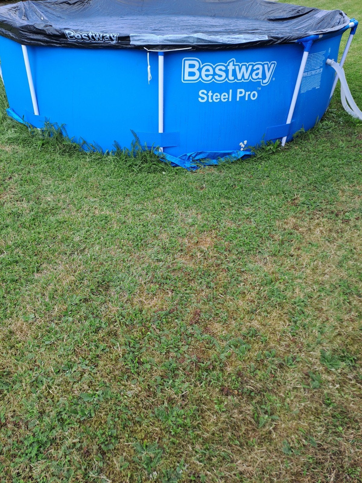 zwembad, Tuin en Terras, Zwembaden, Ophalen, Minder dan 80 cm, Rond, 300 cm of meer