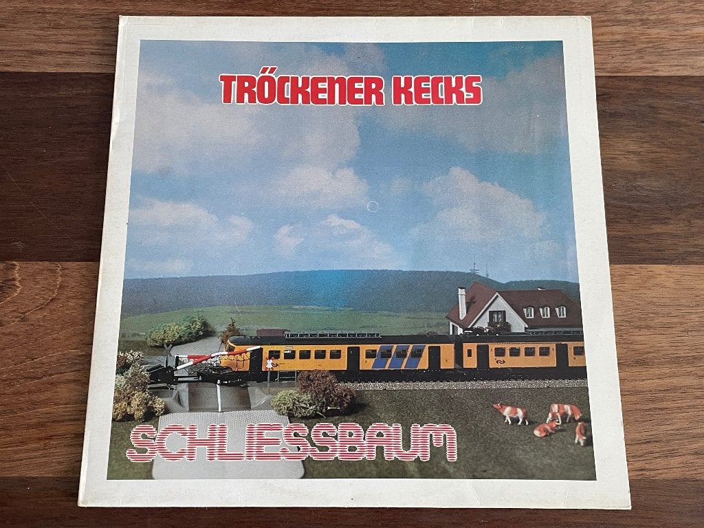 Vinyl LP Trockener Kecks Schliessbaum Debuut 1981 ZELDZAAM, LP, Gebruikt, Ophalen of Verzenden, 12 inch