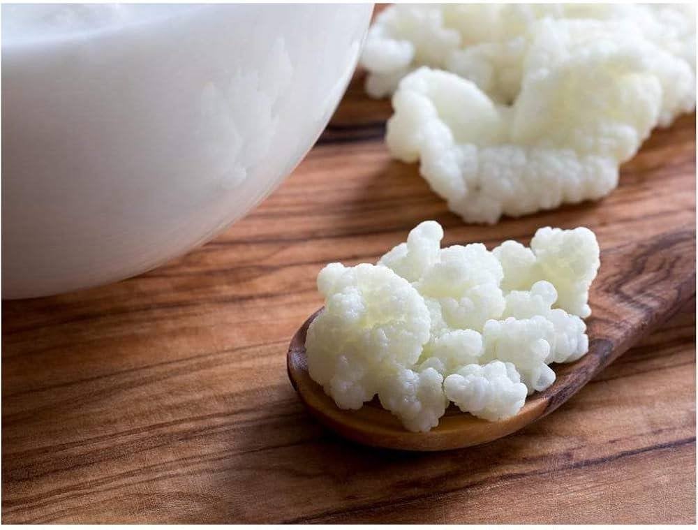 Kefir korrel probiotica 50gr., Ophalen