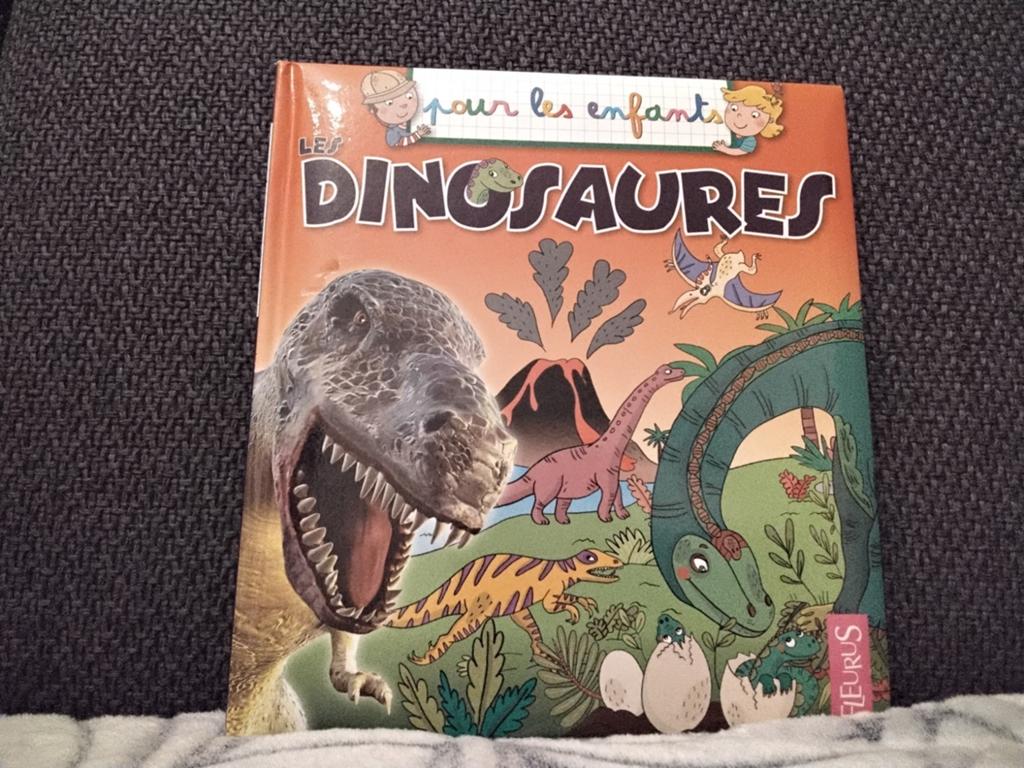 Les dinosaures, Livres, Enlèvement, Comme neuf