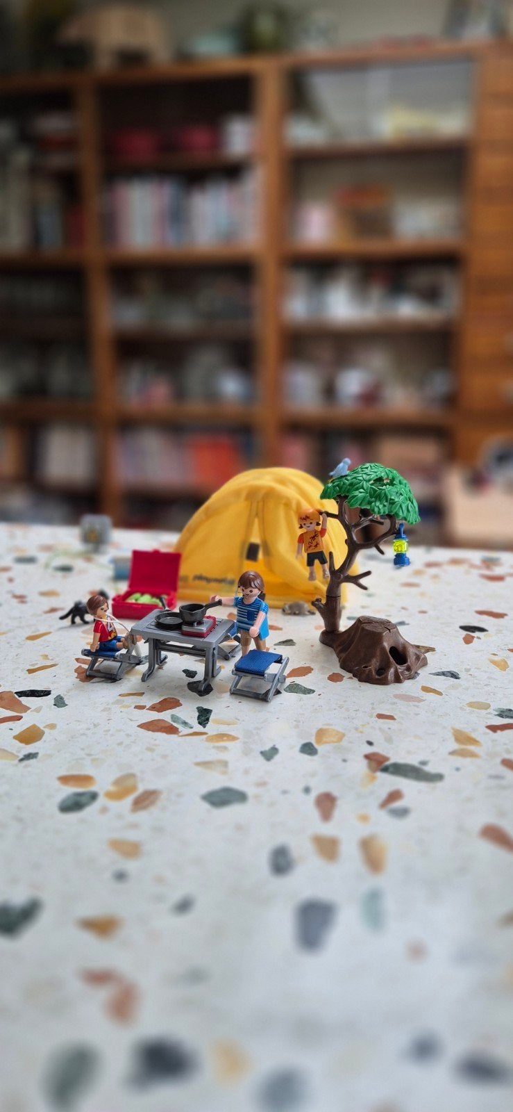 Playmobil kampeerset, Ophalen