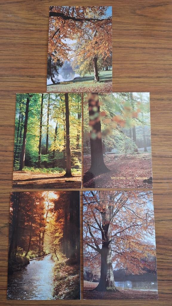 Set de 5 cartes arbres et forêts Salutations du Limbourg, Enlèvement ou Envoi, 1960 à 1980, Non affranchie, Nature