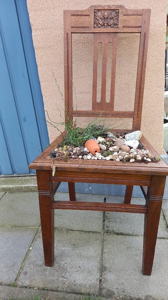 stoel opgevuld met plantjes en decoratie, Enlèvement, Hiver