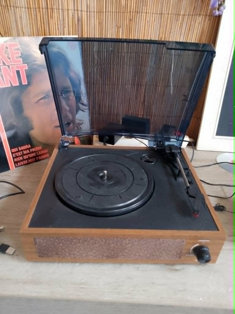 platine vinyle vevor Bluetooth, TV, Hi-fi & Vidéo, Enlèvement ou Envoi, Utilisé, Tourne-disque