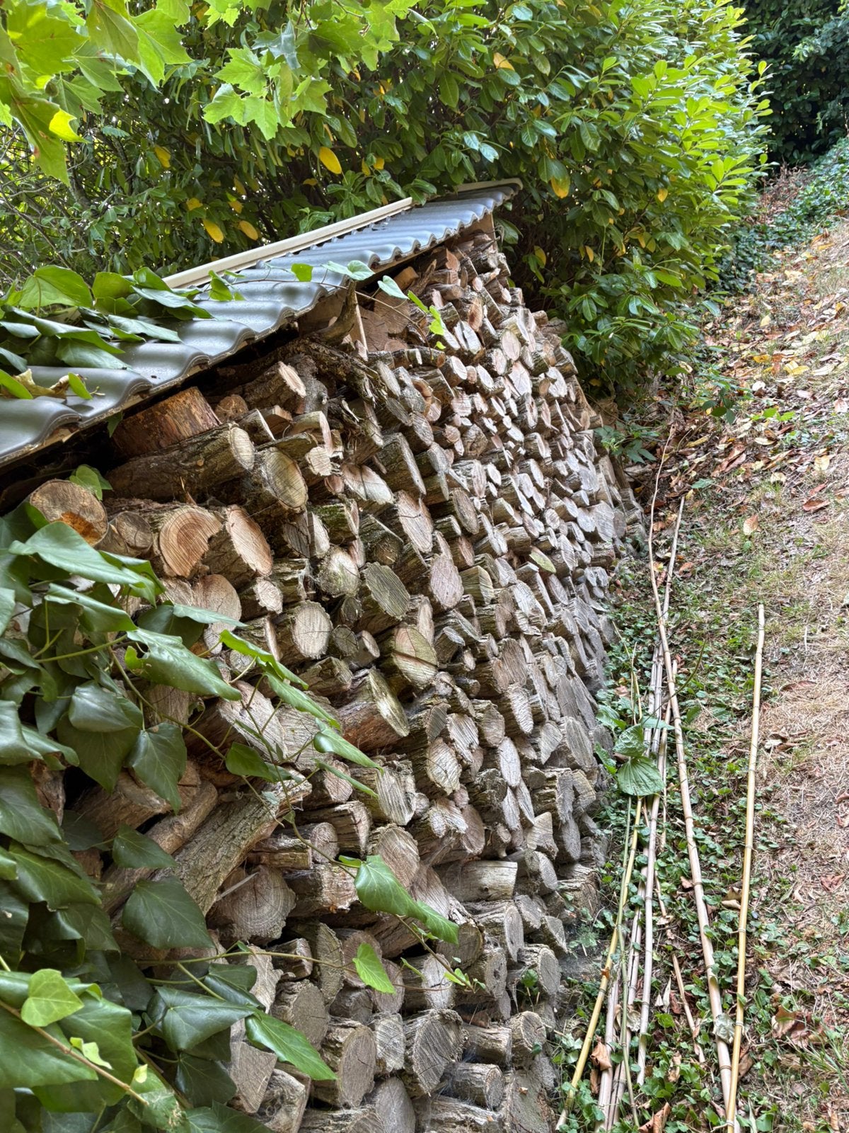 Droog essenhout / loofhout – ca. 11,4 m³ – netjes gestapeld, Tuin en Terras, Brandhout, Ophalen, Essenhout, Blokken