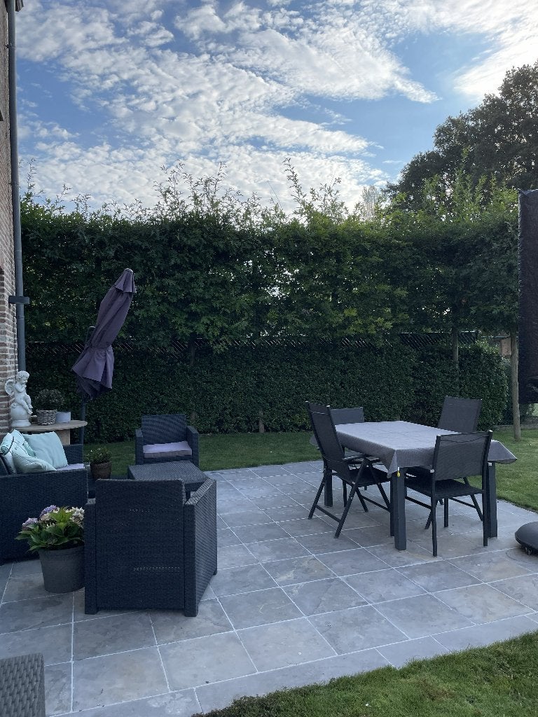 Vietname blauwe steen - gebruikt (> 20m2), Ophalen, Gebruikt, Terrastegels, Natuursteen