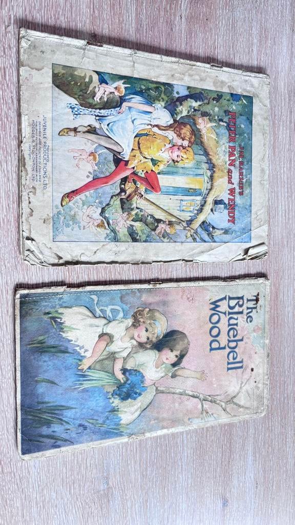 Vintage kinderboekjes – Peter Pan & The Bluebell Wood, Antiek en Kunst, Verzenden