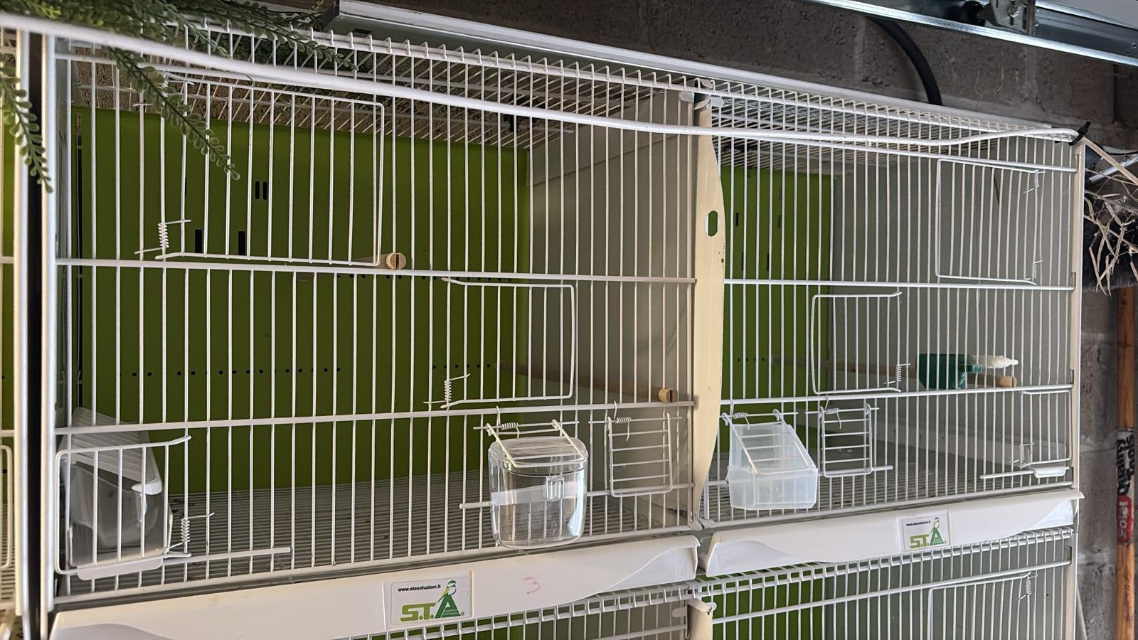 Cages Animalis, Ophalen, Zo goed als nieuw