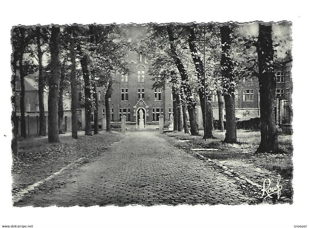 manage allee du pensionnat, Collections, Cartes postales | Belgique, Enlèvement ou Envoi, Non affranchie, Hainaut