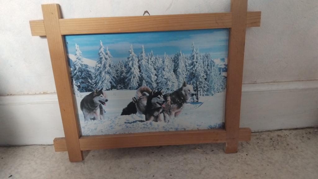 Fotokader met foto van wolven, Huis en Inrichting, Woonaccessoires | Schilderijen, Tekeningen en Foto's, Ophalen