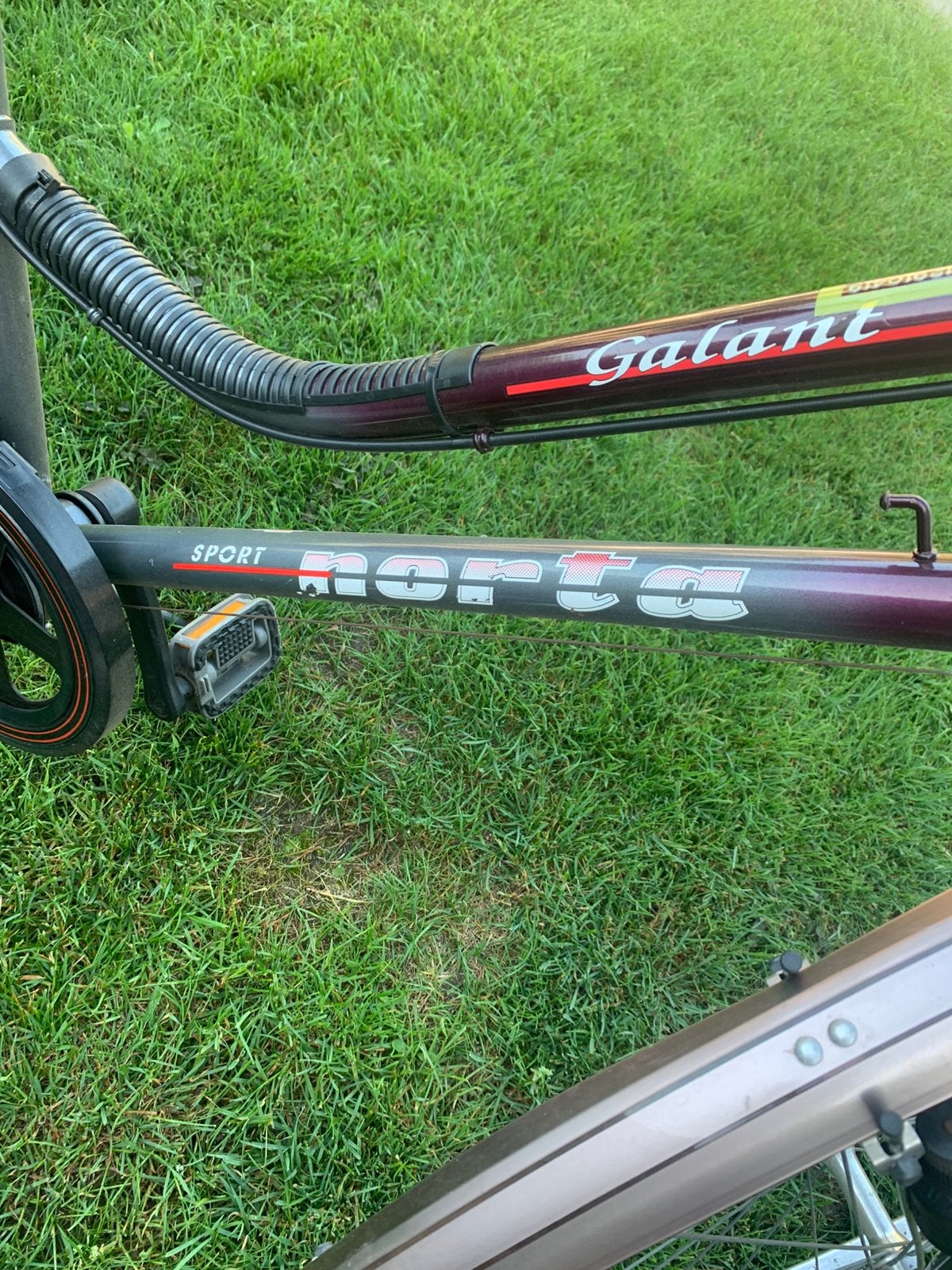 Vélo Norta pour femme, Enlèvement, Comme neuf, Vitesses