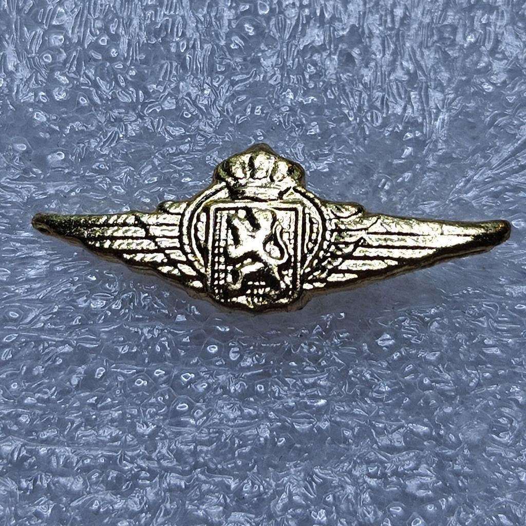 vleugel Belgische Luchtmacht kleine formaat Goudkleurig, Ophalen of Verzenden, Luchtmacht