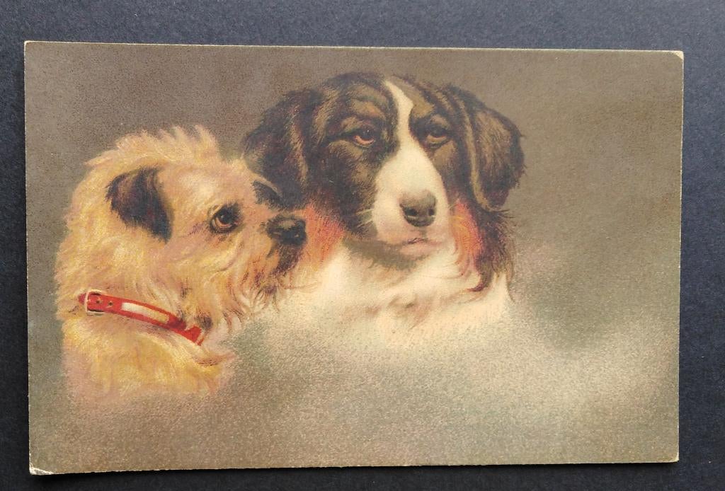Lot de 6 cartes  de chiens - 3 pastels de Weinau (Autriche), Enlèvement ou Envoi, 1920 à 1940, Non affranchie, Chien ou Chat