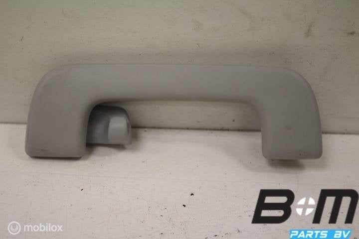 Handgreep in hemel RA (bijrijderskant) Audi A3 8V 8V0857608, Autos : Pièces & Accessoires, Habitacle & Garnissage, Utilisé