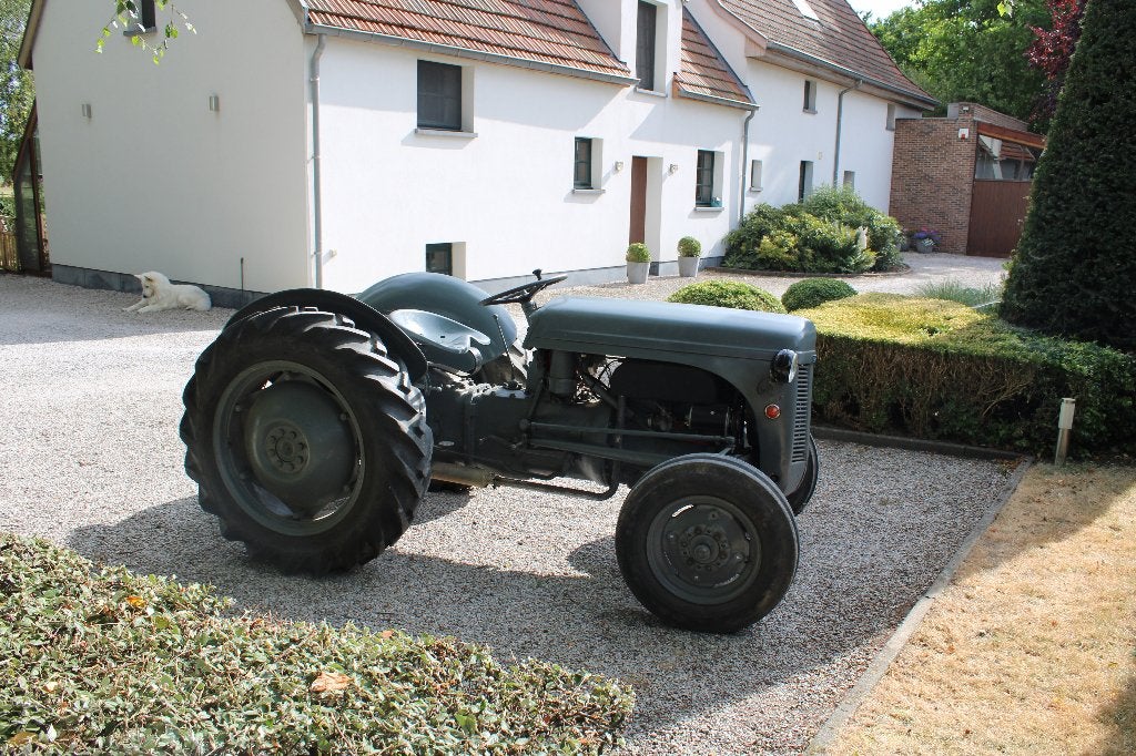 Tracteur TEA20 "Petit gris", Ophalen, Oldtimer, Tot 80 Pk, Massey Ferguson