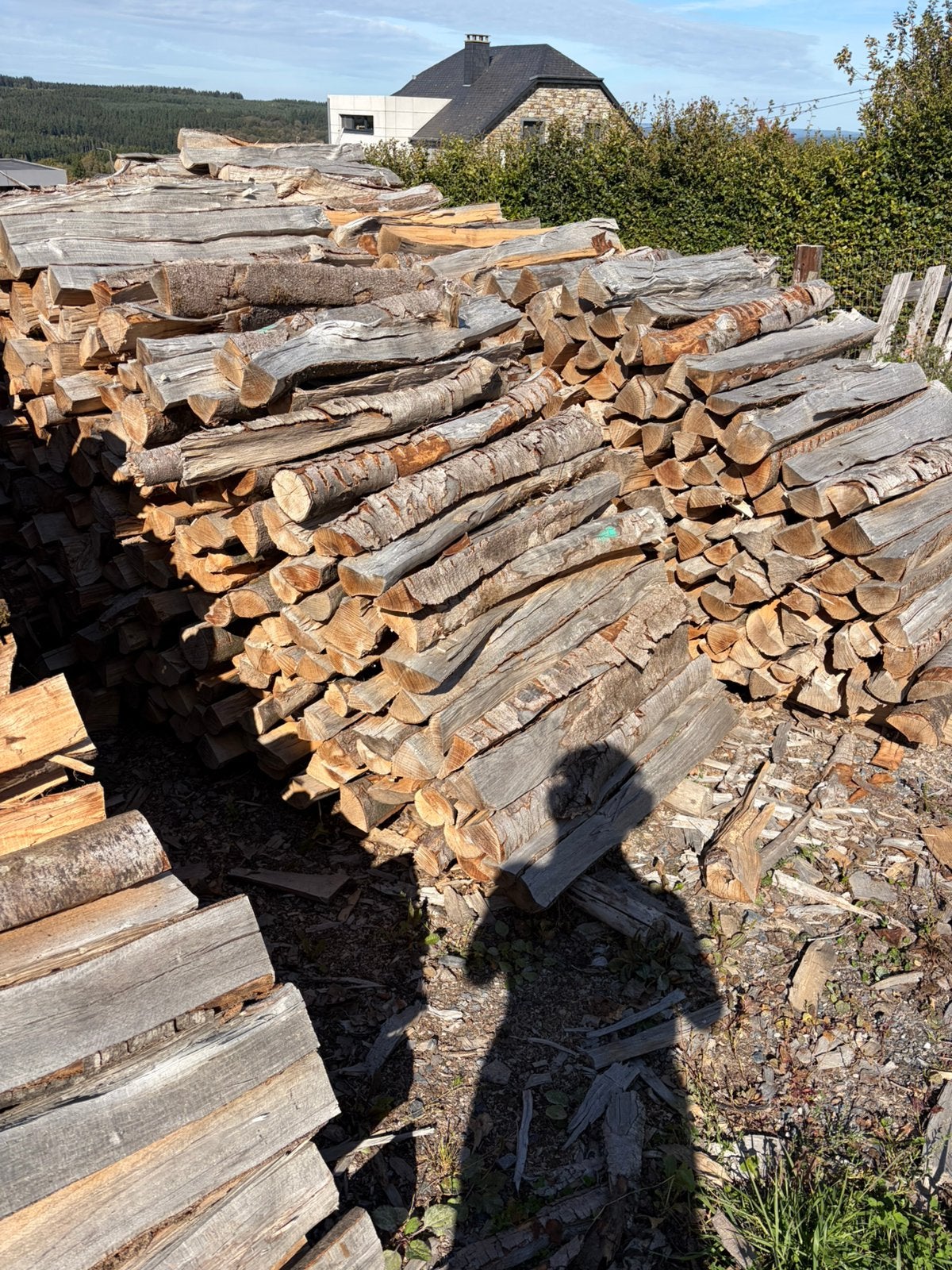 Bois de chauffage sec 100% hêtres fendu, Enlèvement ou Envoi, Hêtre