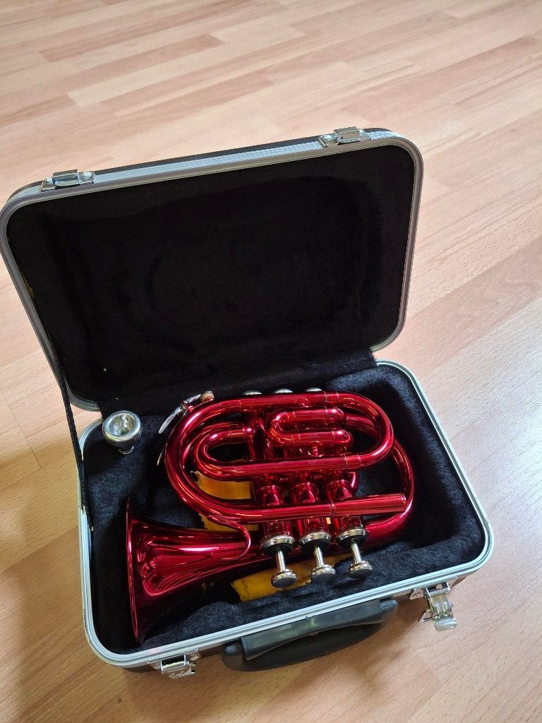 opvallende rode mini trompet, Muziek en Instrumenten, Ophalen, Nieuw, Met koffer
