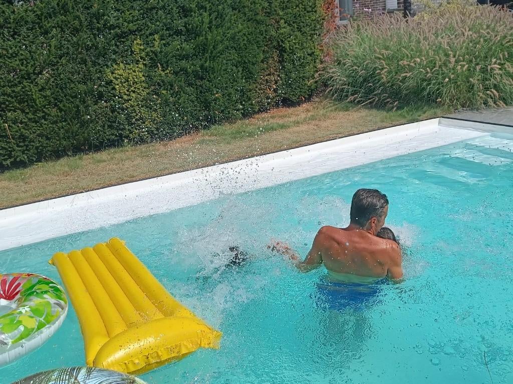 Lampenpoetsersgras - 28 stuks, Jardin & Terrasse, Plantes | Jardin, Plein soleil, Été, Enlèvement, Graminées ornementales