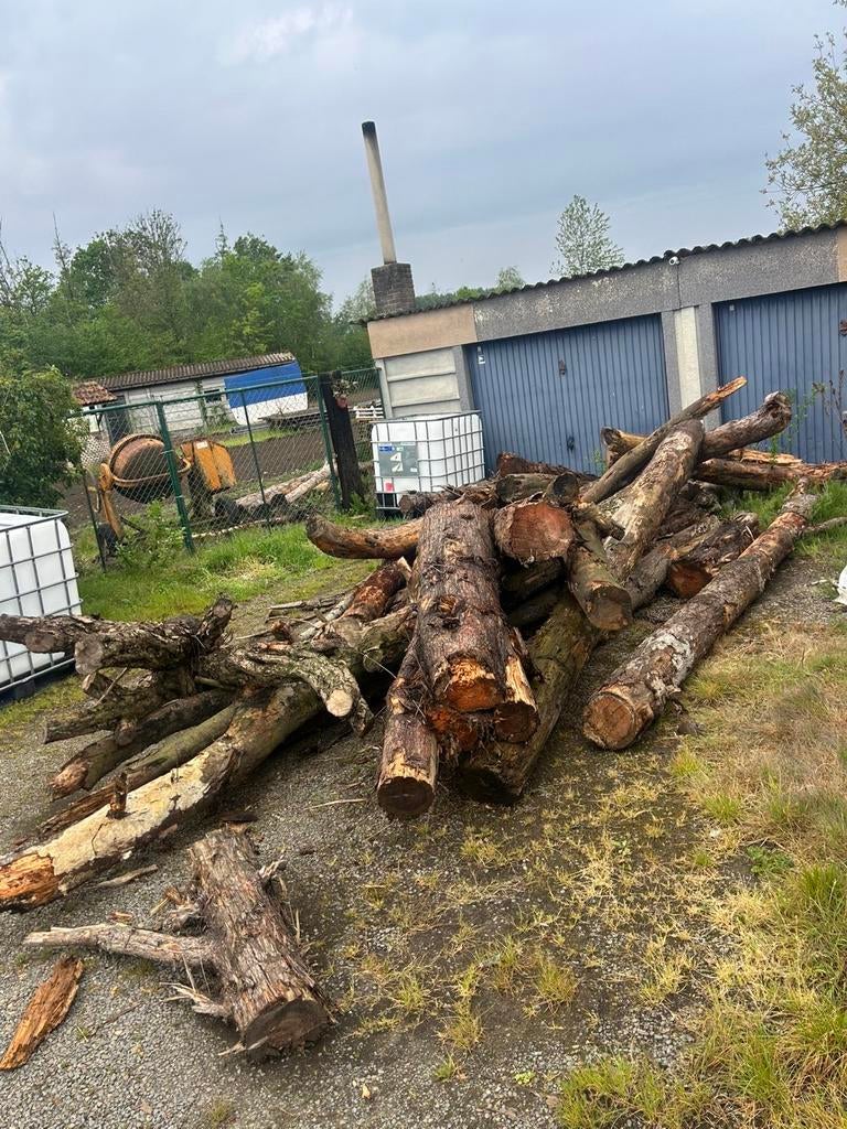 Boomstronken te koop, Tuin en Terras, Ophalen of Verzenden