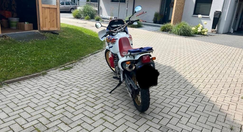 Honda Dominator 650, Motoren, Particulier
