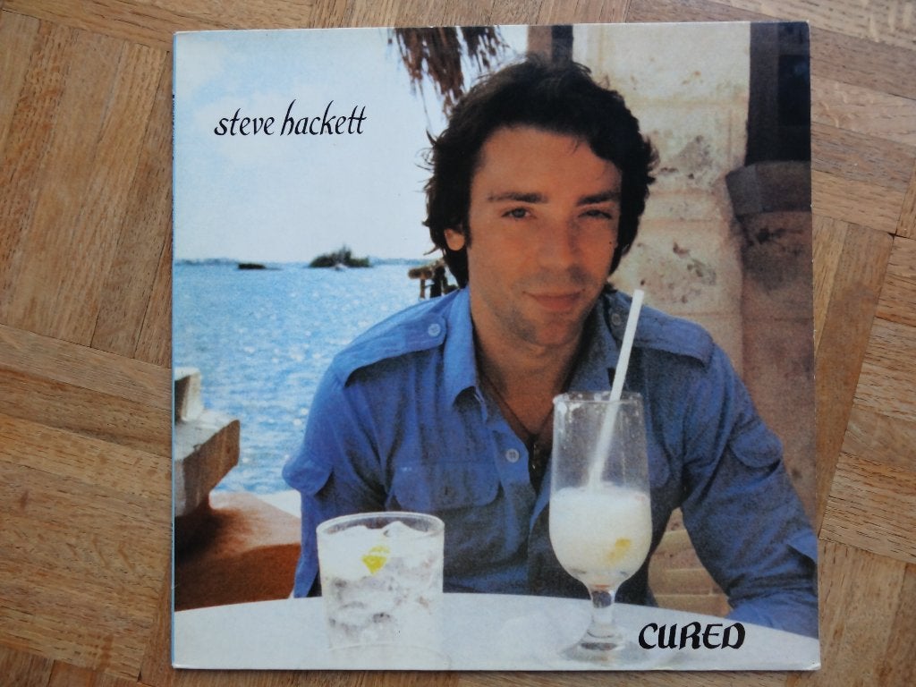 Steve Hackett, Cd's en Dvd's, Vinyl | Rock, Gebruikt, Poprock, LP, 12 inch, Ophalen of Verzenden