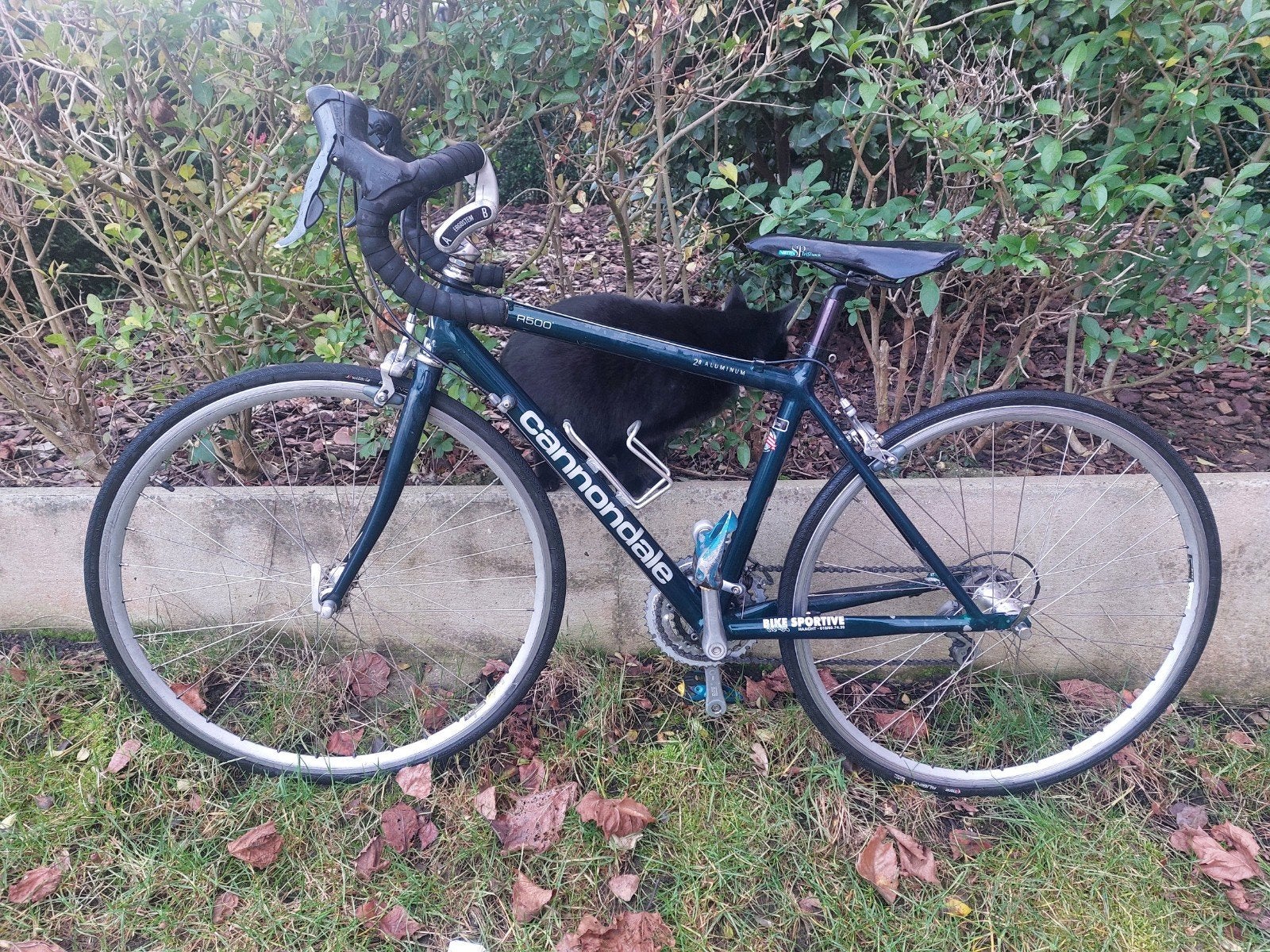 Velo de course Cannondale R500, Vélos & Vélomoteurs, Enlèvement, Utilisé