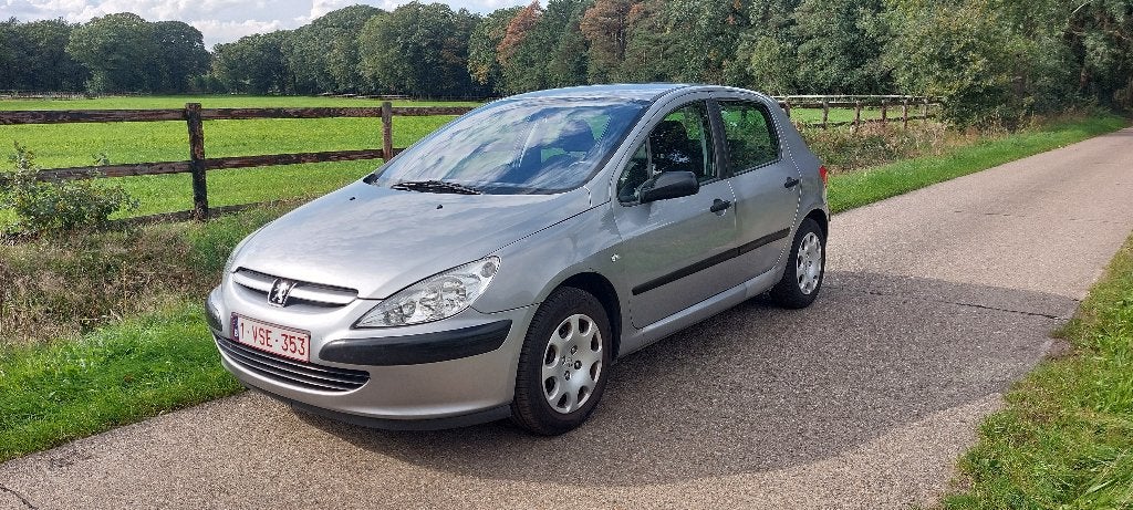 Peugeot  307 automaat  benzine, Auto's, 4 cilinders, 5 zetels, Particulier, 1587 cc