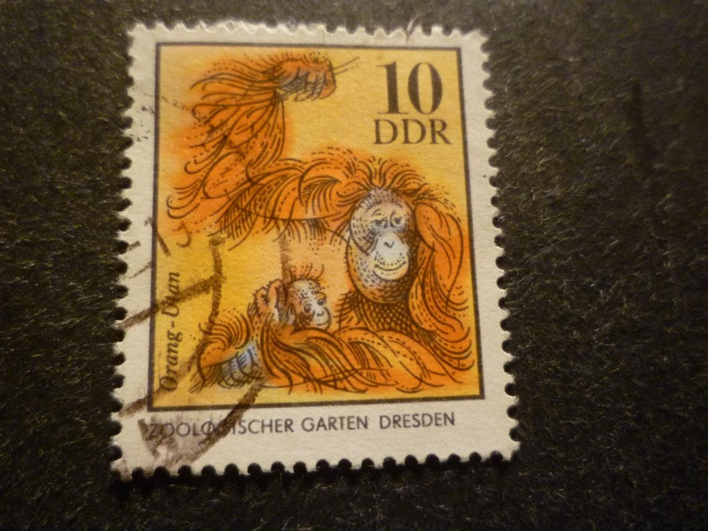 DDR 1975 Mi 2031(o) Gestempeld/Oblitéré, Postzegels en Munten, Verzenden, DDR, Gestempeld