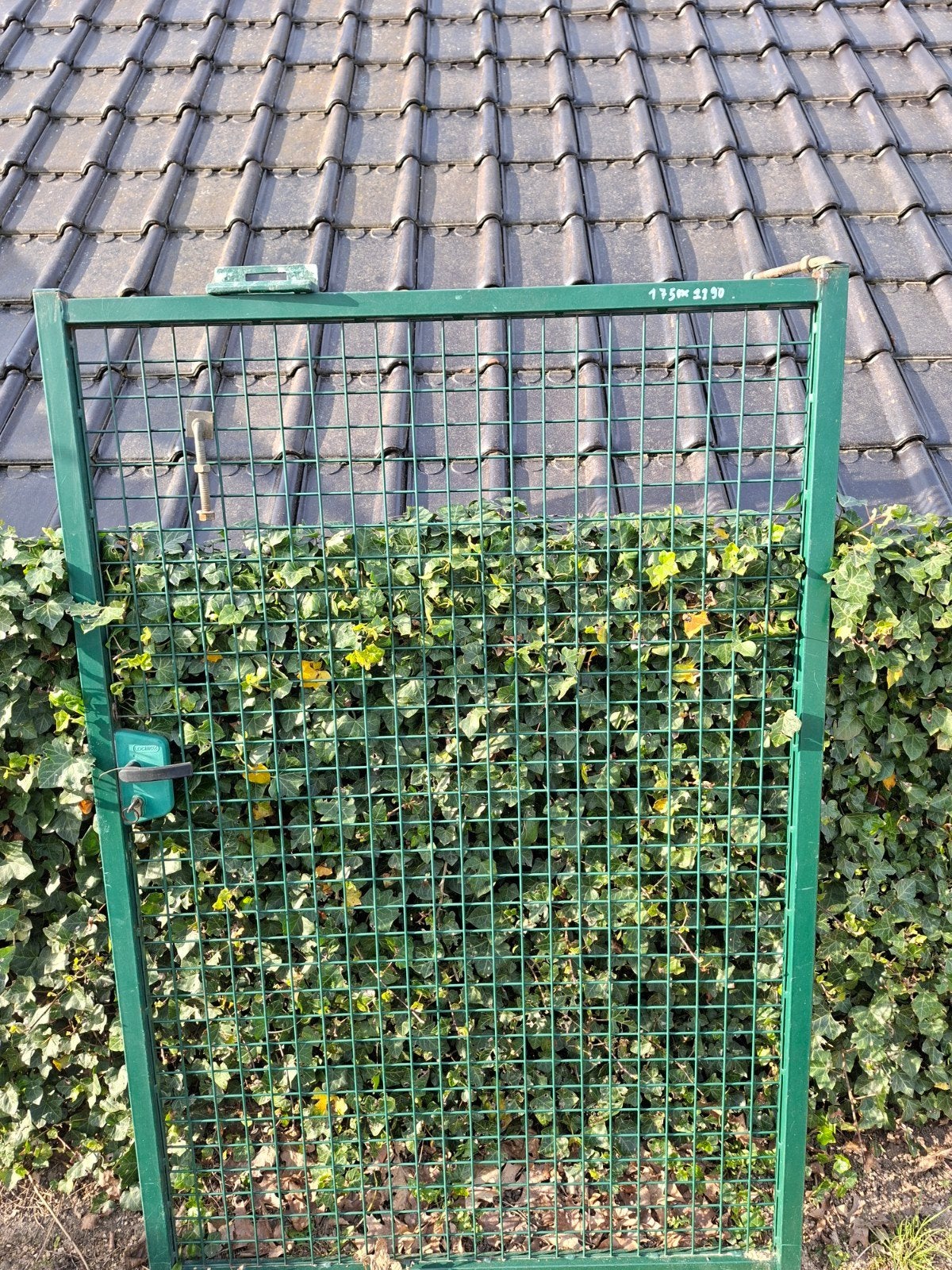 tuinpoort groen, Tuin en Terras, Ophalen