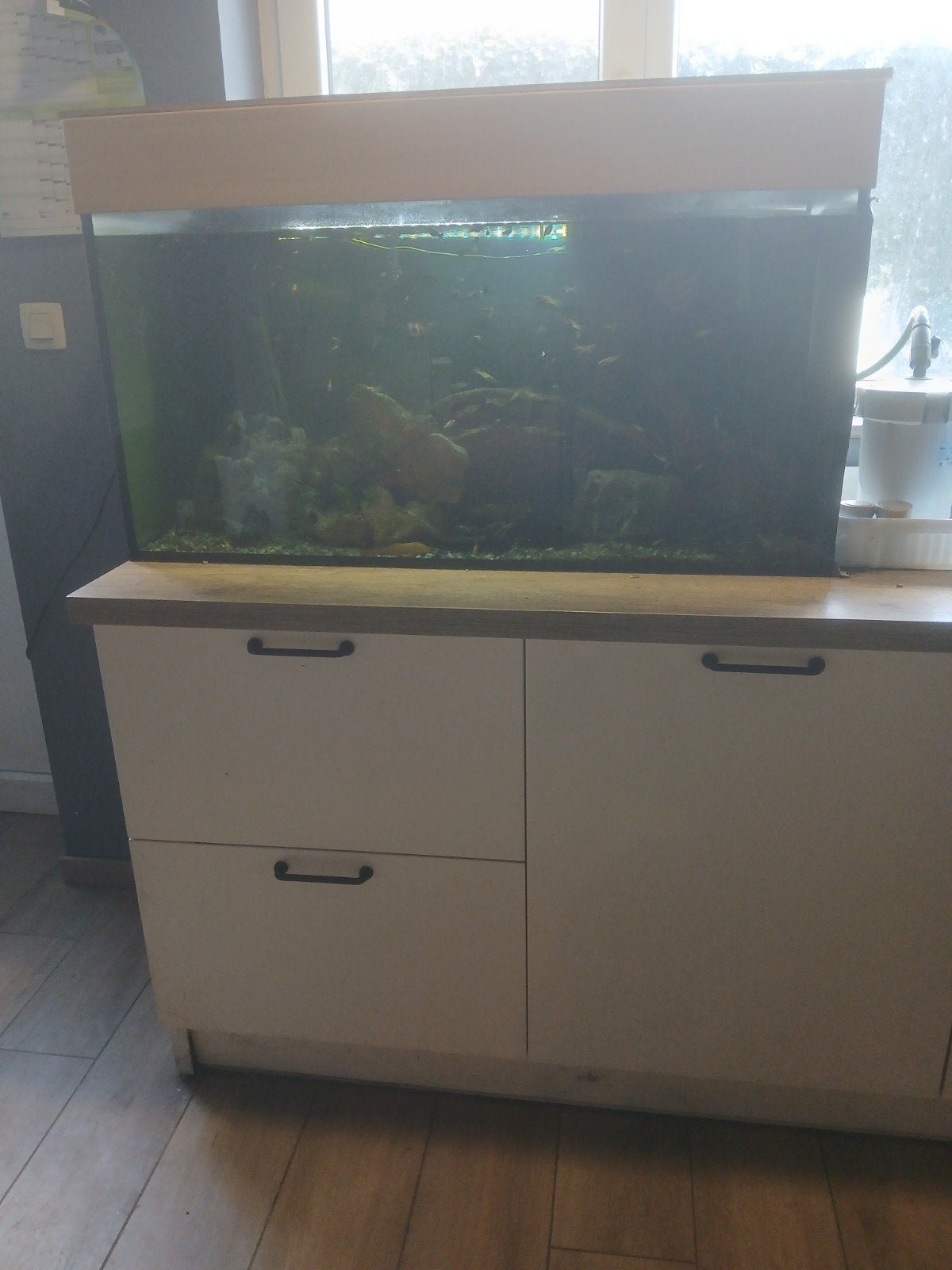 aquarium, Ophalen