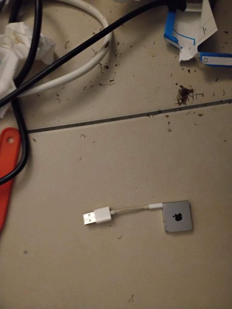 Micro ipod apple pour collectionneur, Ophalen of Verzenden, Zo goed als nieuw, Nano, Zilver