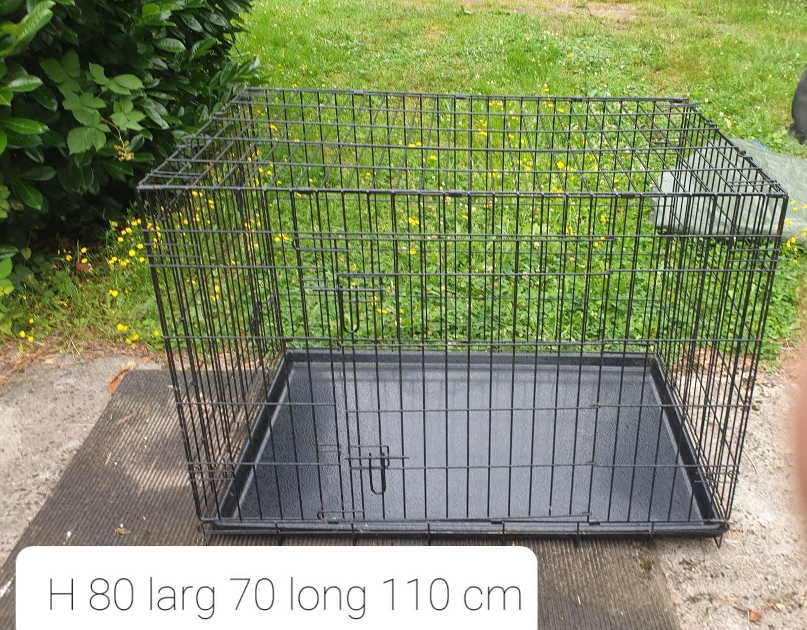 Cage pour chien, Animaux & Accessoires, Enlèvement