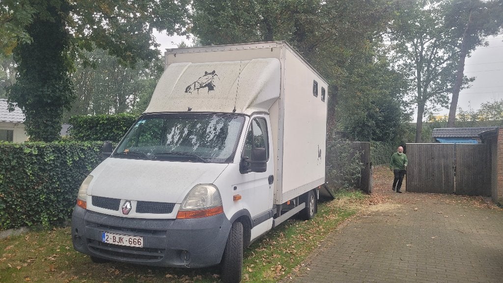 Paardencamionette Renault Master, Dieren en Toebehoren, Ophalen, Gebruikt, Overige materialen, Overige typen