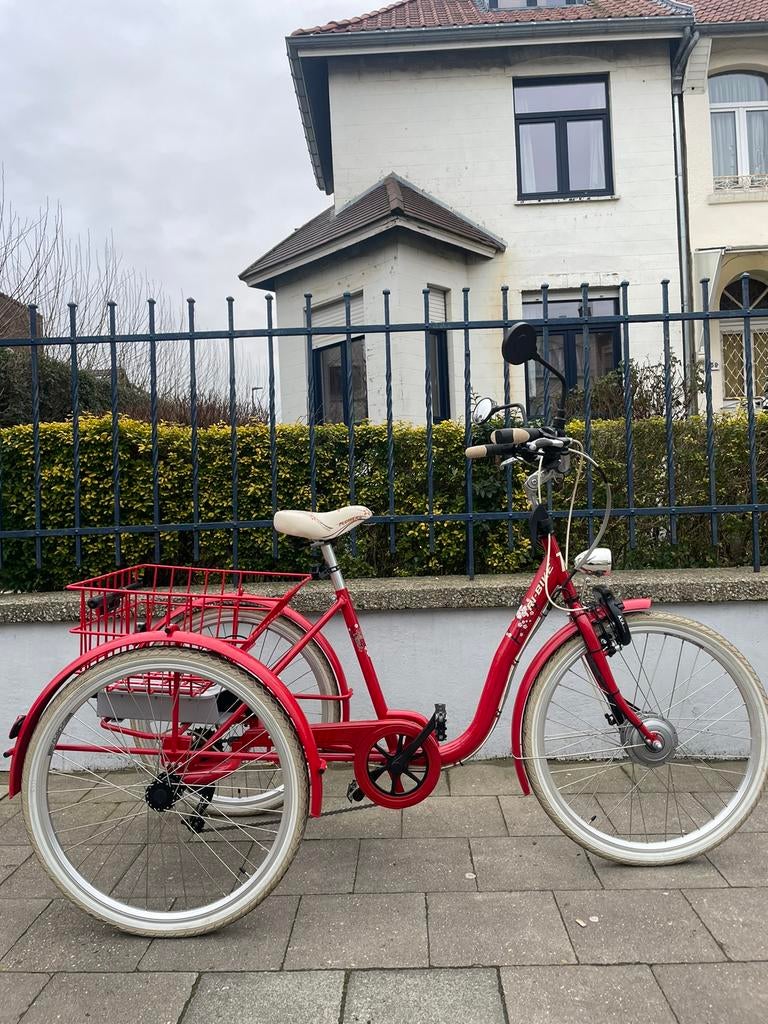 Tri-Bike elektrische driewieler met ondersteuning nieuwstaat, Ophalen of Verzenden, Zo goed als nieuw, Elektrische rolstoel