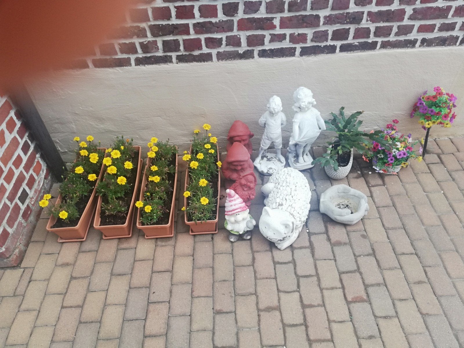 Te koop wegens veranderen tuin, Enlèvement, Jardin