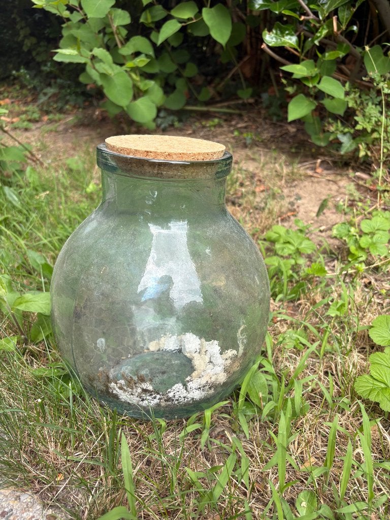 Terrarium, Enlèvement