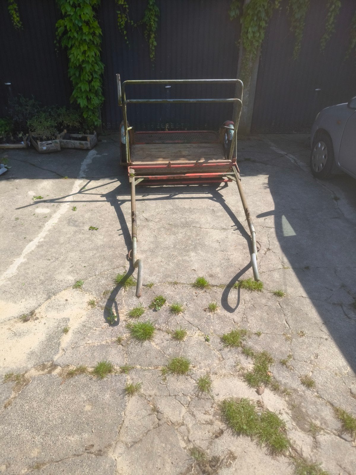 Charette de débourrage pour chevaux, Cheval