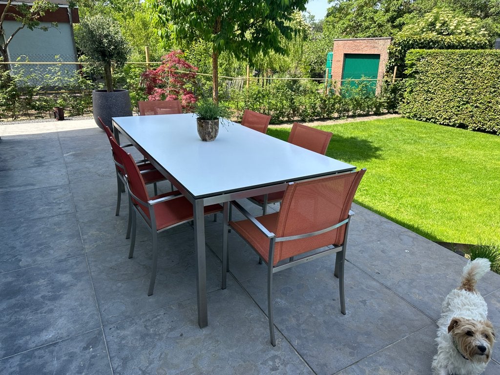 Tuintafel met stoelen, Ophalen, Tuinset, Eettafel, 8 zitplaatsen